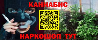 дживик Майкоп